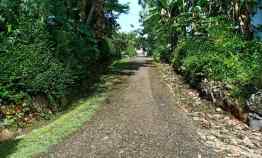 tanah kerjo karanganyar