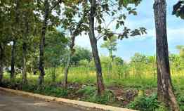 tanah kerjo karanganyar