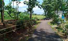 tanah kerjo karanganyar jawa