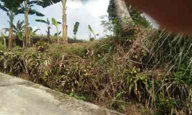 tanah kosong cocok buat rumah plus kebun