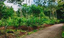 Tanah Datar 2 Hektar Karangpandan Kota Karanganyar