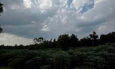 tanah ladang di pancur batu deli serdang