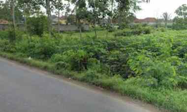 tanah lokasi strategis di gunung sugih lampung tengah