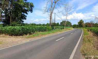 Tanah Luas 14 Hektar di Lampung Tengah