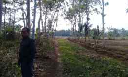 Tanah Luas 2,7 Hektar Surade Sukabumi