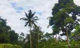 Tanah Luas 35 Hektar Kota Sukabumi