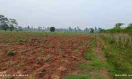 Tanah Luas 6 Hektar di Jalan Lintas Sumatera, Surat SHM