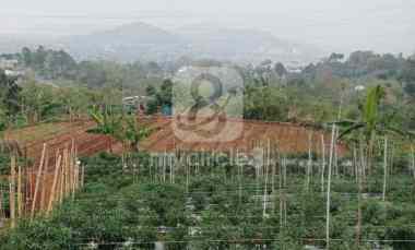 Tanah Luas Cocok untuk Investasi di Cilame