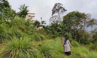 tanah luas dan murah harga borongan di temas batu