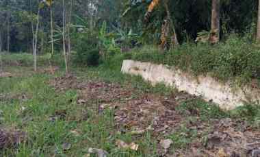 tanah luas dekat unnes