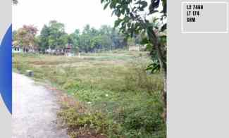 Tanah Luas Samping Jalan Besar di Cilaku Tenjo Bogor