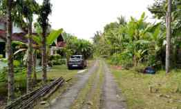 Tanah Mangku Jalan Utama Desa Ketangi Purwodadi