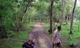 tanah mekarjaya