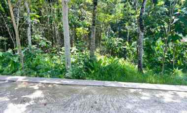 tanah mojogedang karanganyar 1200m datar siap bangun