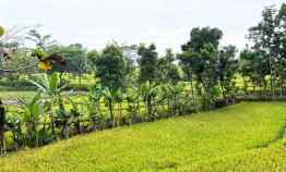 Tanah Dijual di Mojogedang, Karanganyar