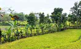 tanah mojogedang karanganyar