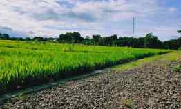 tanah munggur mojogedang