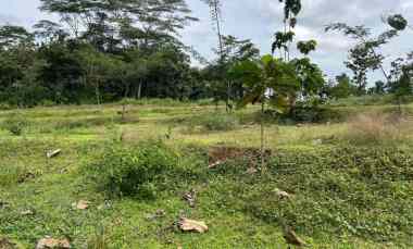 tanah murah 1198m hanya 100 juta karanganyar