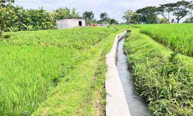 tanah murah 2150m hanya 225 jt sragen