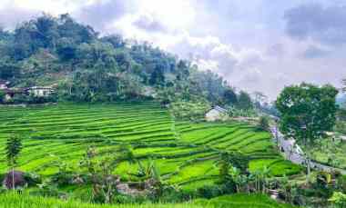 tanah murah 3000m 200rb m ngargoyoso solo