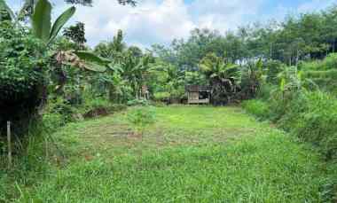 tanah murah 80 juta karangpandan karanganyar