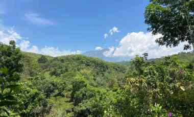 tanah murah 82rb m karanganyar