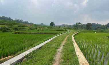 tanah murah 911m 75 juta karanganyar solo