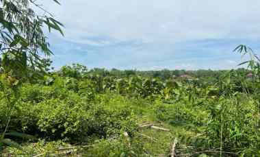 tanah murah 970m hanya 75 juta sragen