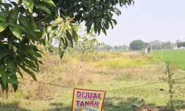 Tanah Murah Bagus untuk Property