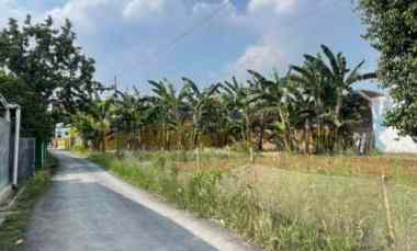 tanah murah bandar lampung