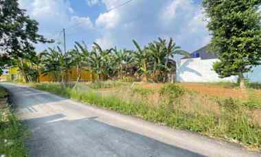 Tanah Murah Bandar Lampung