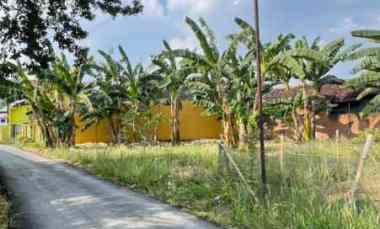 tanah murah bandar lampung