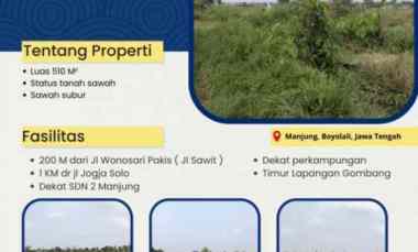 tanah murah cocok untuk kolam dan sawah