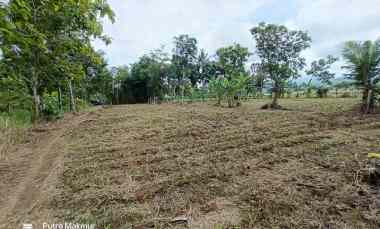tanah murah dekat bandara yia