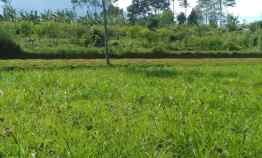 Tanah Dijual di Ciawi Puncak Bogor