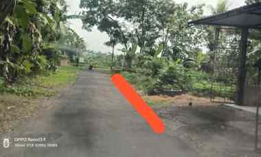tanah murah di minggir sleman dekat resto mang engking