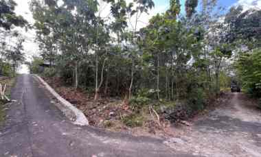 tanah murah dua arah menghadap