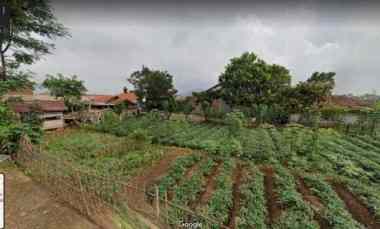 tanah murah jl jatisari tanjungsari sumedang