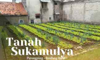 Tanah Murah jl Sukamulya Setiabudi Regency Atas