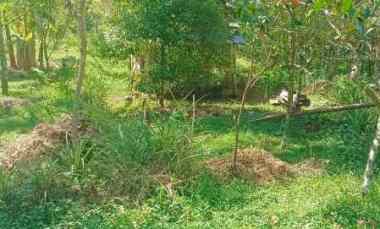 tanah murah lerep ungaran barat