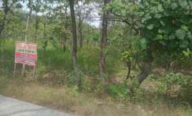 tanah murah luas bisa buat aia saja