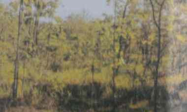 tanah murah muka lebar