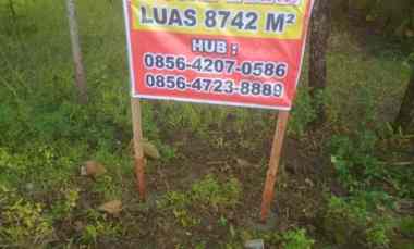 tanah murah sangat cocok untuk gudang atau peternakan