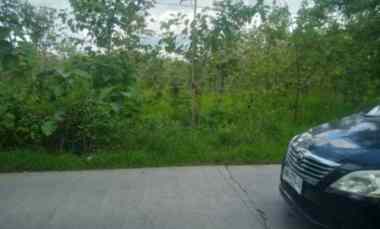 tanah murah siap untuk tempat usaha