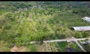 tanah murah tegal banyak pohon jati