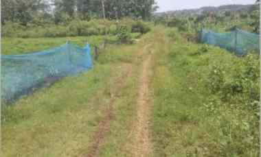 tanah murah wates ngaliyan semarang