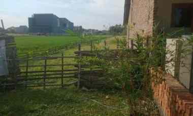 tanah murah yang penting jadi