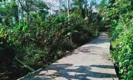 tanah ngargoyoso karanganyar