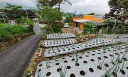 tanah ngargoyoso karanganyar