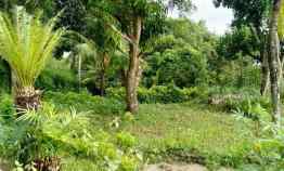 Tanah Dijual di Batu Layar Senggigi Lombok NTB